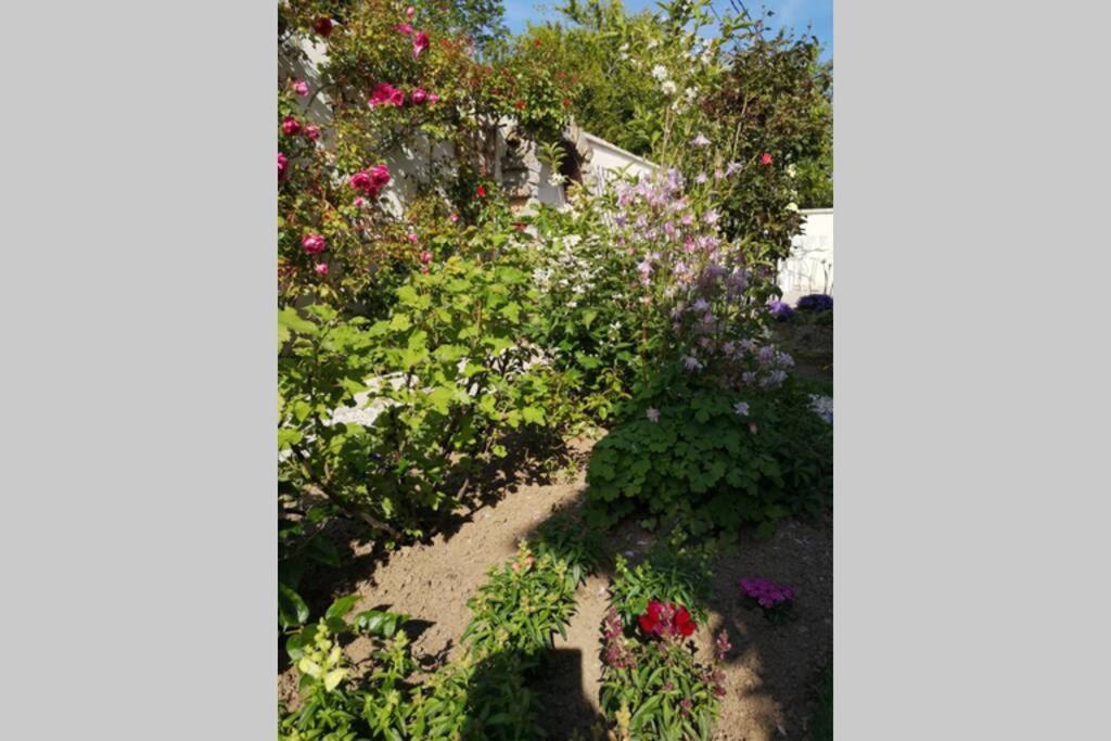 La Roseliere Maison Plain Pied Confortable Belle Decoration Jardin Magnifique 10 Mn A Pied Centre Ville Bayeux Proche Plages Du Debarquement Dış mekan fotoğraf